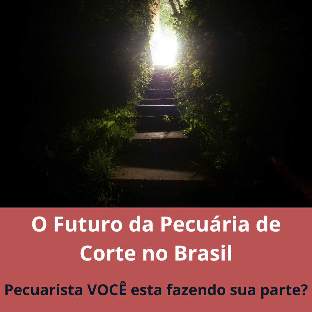 O Futuro da Pecuária de Corte no Brasil: Você Pecuárista esta fazendo sua parte?
