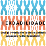 Você Já Investiu em Touros e Matrizes pensando na Herdabilidade?