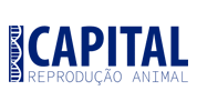 capital