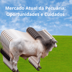 Mercado Atual da Pecuária: Oportunidades e Cuidados para Pecuaristas Brasileiros