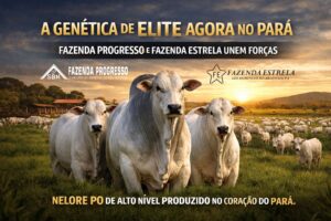 genética da fazenda progresso chega ao pará