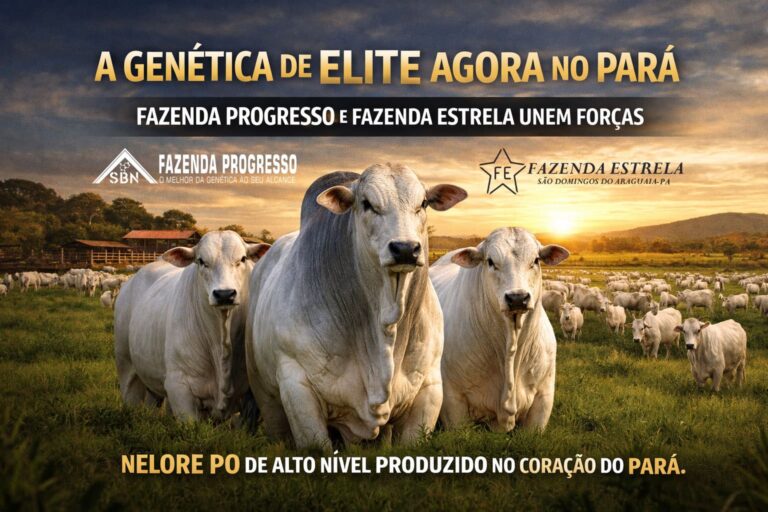 genética da fazenda progresso chega ao pará